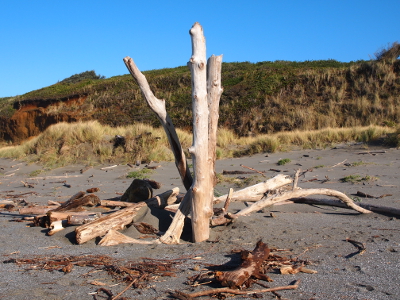 [Three partial tree trunks (approx 8 foot long?) which became driftwood were driven into the sand such they stand upright.]